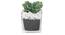 Celiea Artificial Plant With Pot (Green) by Urban Ladder - Design 1 Full View - 317811
