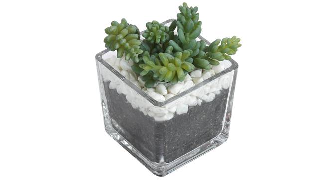 Celiea Artificial Plant With Pot (Green) by Urban Ladder - Front View Design 1 - 317812