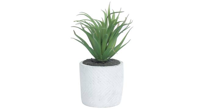 Nicole Artificial Plant With Pot (Green) by Urban Ladder - Design 1 Full View - 317819