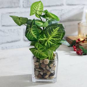 Artificial plant lp