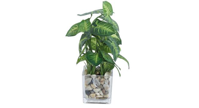 Lara Artificial Plant With Pot (Green) by Urban Ladder - Design 1 Full View - 317827