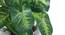 Lara Artificial Plant With Pot (Green) by Urban Ladder - Cross View Design 1 - 317829