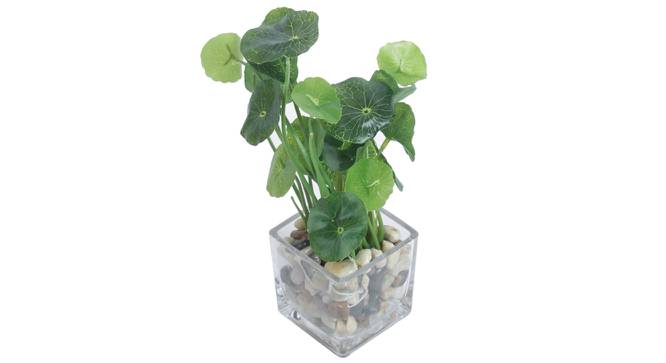 Melissa Artificial Plant With Pot (Green) by Urban Ladder - Front View Design 1 - 317836