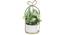 Camilla Artificial Plant With Pot (Yellow) by Urban Ladder - Front View Design 1 - 317848