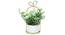 Eleonora Artificial Plant With Pot (Green) by Urban Ladder - Front View Design 1 - 317852