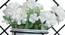 Giorgia Artificial Plant With Pot (White) by Urban Ladder - Cross View Design 1 - 317873