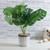 Artificial Plants