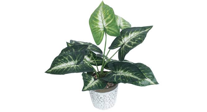 Ambra Artificial Plant With Pot (Green) by Urban Ladder - Front View Design 1 - 317884