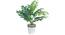 Gaia Artificial Plant With Pot (Green) by Urban Ladder - Design 1 Full View - 317887