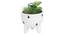Olivia Artificial Plant With Pot (Green) by Urban Ladder - Design 1 Full View - 317891