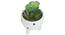 Olivia Artificial Plant With Pot (Green) by Urban Ladder - Front View Design 1 - 317892