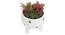 Olivia Artificial Plant With Pot (Red) by Urban Ladder - Front View Design 1 - 317896