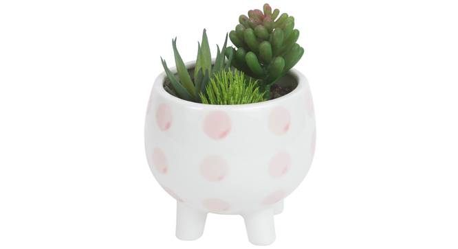 Alyssa Artificial Plant With Pot (Green) by Urban Ladder - Design 1 Full View - 317899