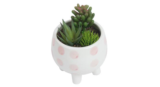 Alyssa Artificial Plant With Pot (Green) by Urban Ladder - Front View Design 1 - 317900