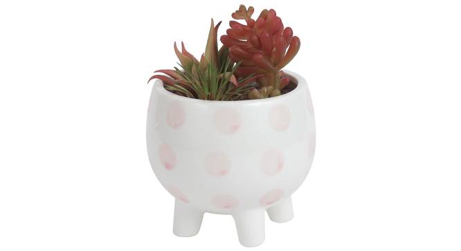Alyssa Artificial Plant With Pot (Red) by Urban Ladder - Design 1 Full View - 317903