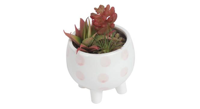 Alyssa Artificial Plant With Pot (Red) by Urban Ladder - Front View Design 1 - 317904