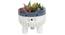 Alice Artificial Plant With Pot (Red) by Urban Ladder - Design 1 Full View - 317926