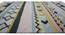 Dalian Carpet (152 x 244 cm  (60" x 96") Carpet Size, Peach, Hand Tufted Carpet Type) by Urban Ladder - Design 1 Close View - 318178