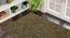 Balwin Carpet (122 x 183 cm  (48" x 72") Carpet Size, Hand Tufted Carpet Type) by Urban Ladder - Front View Design 1 - 318180