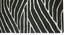 Gatlin Carpet (152 x 244 cm  (60" x 96") Carpet Size, Hand Tufted Carpet Type) by Urban Ladder - Design 1 Close View - 318226