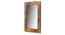 Reflections Wall Mirror by Urban Ladder - Design 1 Side View - 319090
