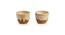 Aakrit Planter-Set of 2 by Urban Ladder - Front View Design 1 - 319117