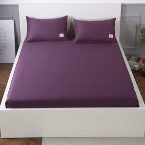 Urban Dreams Design Purple TC Cotton Queen Size Bedsheet with Pillow Covers