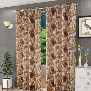 presto Multi Coloured Polyester Window Curtain-picture-35
