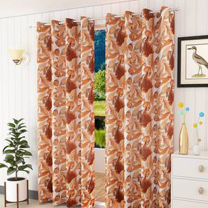 presto Multi Coloured Polyester Window Curtain-picture-30