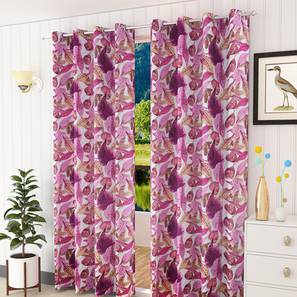 Brown Polyester Window Curtain-image-16