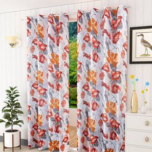 presto Multi Coloured Polyester Window Curtain-picture-14