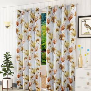 presto Multi Coloured Polyester Window Curtain-picture-37