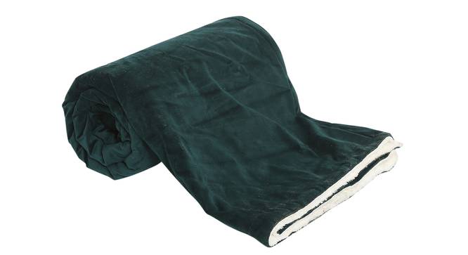 Daisy Throw (Green, 61 x 61 cm  (24" X 24") Cushion Size) by Urban Ladder - Front View Design 1 - 322492