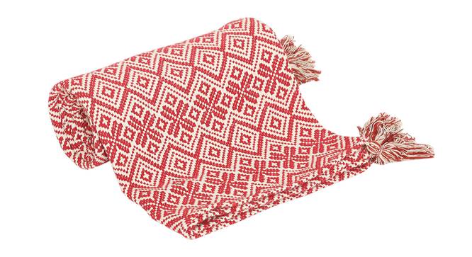 Ethel Throw (61 x 61 cm  (24" X 24") Cushion Size) by Urban Ladder - Front View Design 1 - 322513