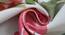 Sophie Curtain (White, 122 x 274 cm(48" x 108") Curtain Size) by Urban Ladder - Design 1 Close View - 322566