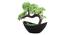 Dayne Artificial Plant by Urban Ladder - Design 1 Top View - 324105