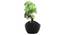 Dayne Artificial Plant by Urban Ladder - Front View Design 1 - 324106