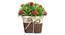 Everly Artificial Plant by Urban Ladder - Design 1 Top View - 324115