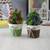 Finn artificial plant lp