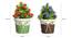 Finn Artificial Plant by Urban Ladder - Design 1 Close View - 324127
