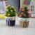 Fleet artificial plant lp