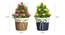 Fleet Artificial Plant by Urban Ladder - Design 1 Close View - 324147