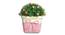 Fabian Artificial Plant by Urban Ladder - Design 1 Details - 324154