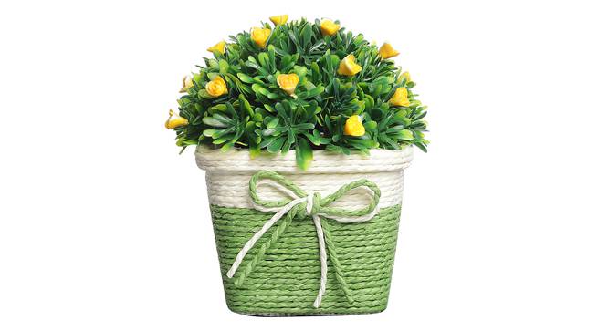 Fabian Artificial Plant by Urban Ladder - Design 1 Top View - 324155