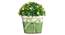 Fabian Artificial Plant by Urban Ladder - Design 1 Top View - 324155