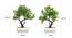 Echo Artificial Plant by Urban Ladder - Design 1 Close View - 324187
