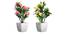 Easton Artificial Plant by Urban Ladder - Front View Design 1 - 324191