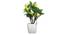 Raymon Artificial Plant by Urban Ladder - Design 1 Details - 324194