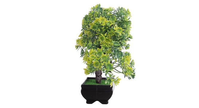 Addison Artificial Plant by Urban Ladder - Design 1 Top View - 324200