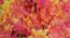 Adalia Artificial Plant by Urban Ladder - Front View Design 1 - 324206